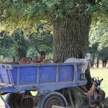 Roulotte Au Coeur Des Animaux - Ecodomaine Rever Ailleurs Hétvégi ház